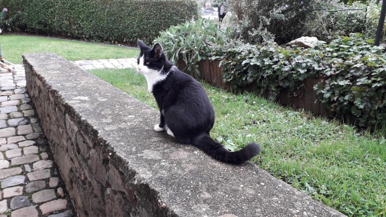 Le Petit Moussis Villa Stavelot Buitenkant foto